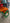 Rare Machinery Corn Thresher Machine in orange and green for efficient grain processing